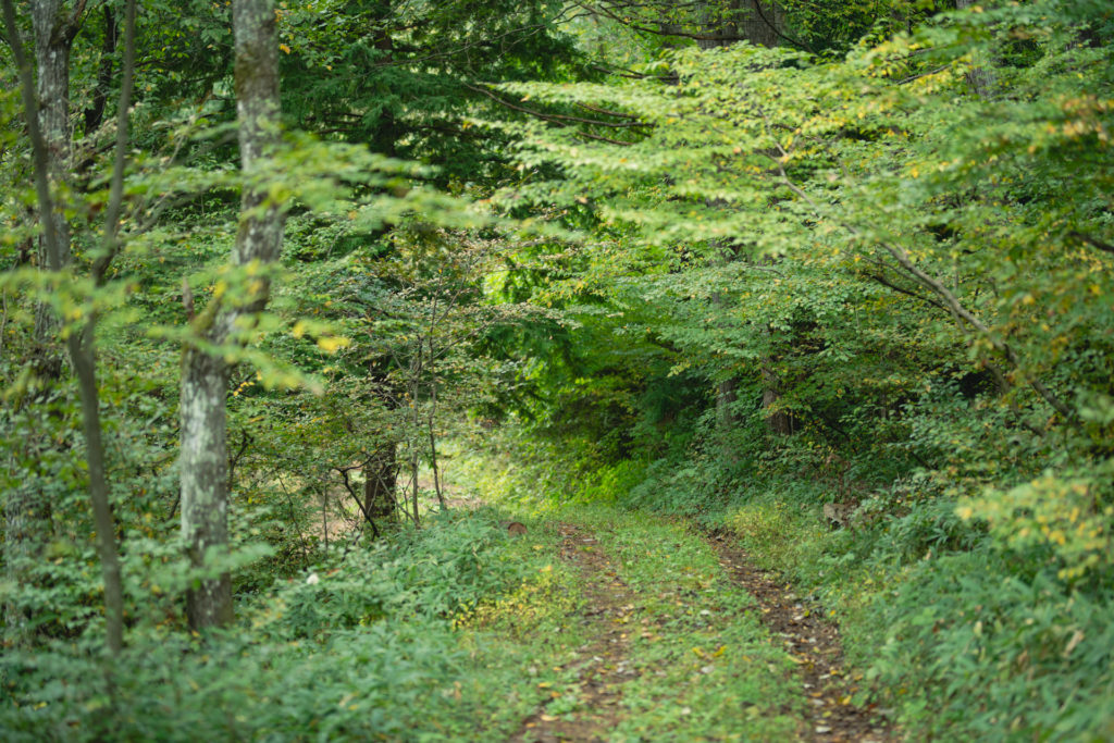 2026年度入園希望の方へ（入園説明会）